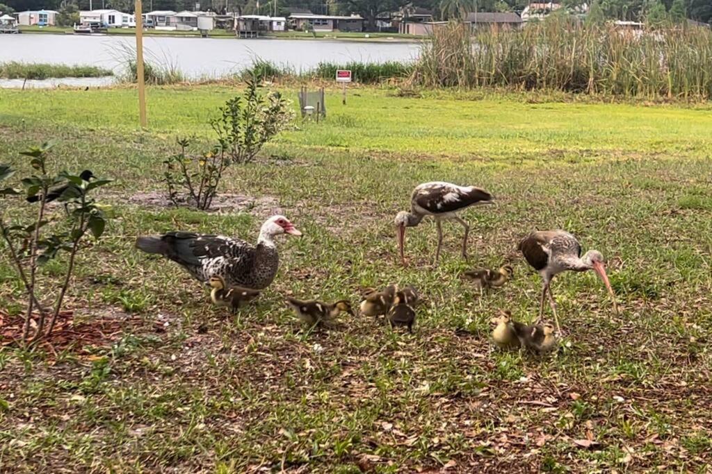 Lakeside Retreat - 3 Bedroom, 2 Bathroom House By The Lake Lakeland Exterior photo